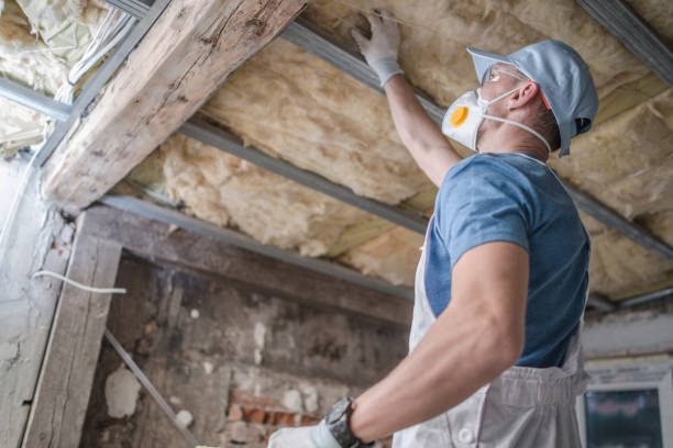 Best Insulation Maintenance and Repair in On Top Of The World Designated Place, FL