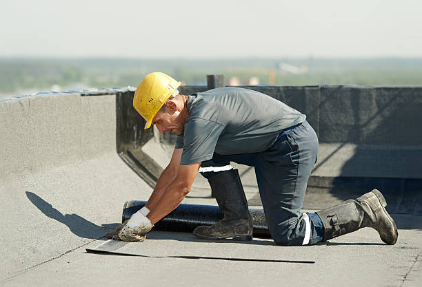 Best Insulation for Specific Applications in On Top Of The World Designated Place, FL