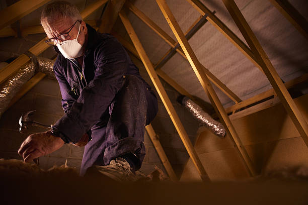 Best Residential Insulation in On Top Of The World Designated Place, FL